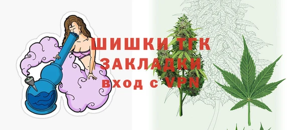 молекула духа Коряжма