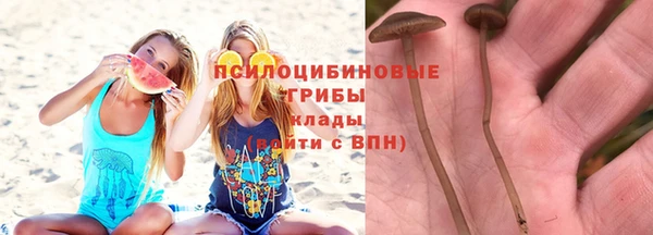 mdpv Костерёво