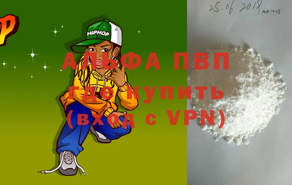 молекула духа Коряжма