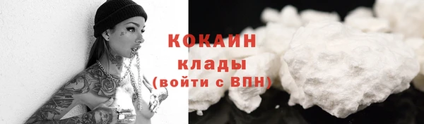 молекула духа Коряжма