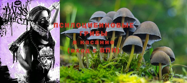 mdpv Костерёво
