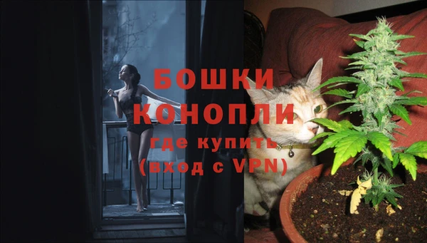 молекула духа Коряжма