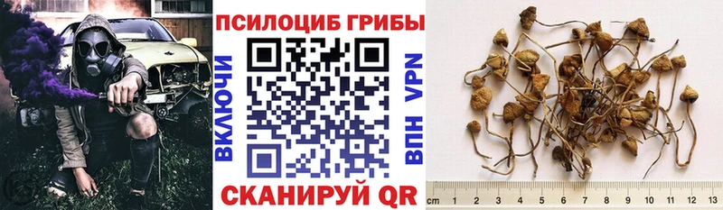 Галлюциногенные грибы MAGIC MUSHROOMS  Купить закладки  Валуйки 